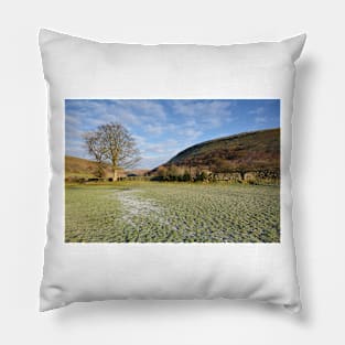 Muker Meadows Pillow