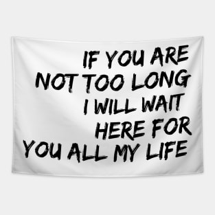 if you are not too long I will wait here for you all my life Tapestry