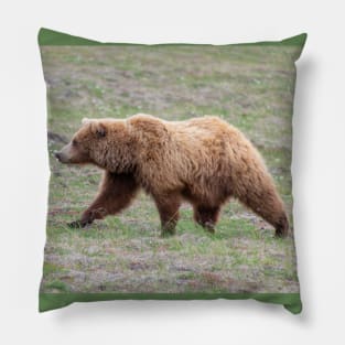 Mother Grizzly Bear Side View Pillow