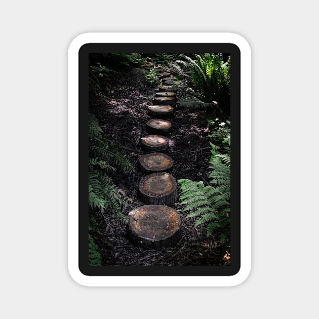 Tree stump path in the forest Magnet by Robtography
