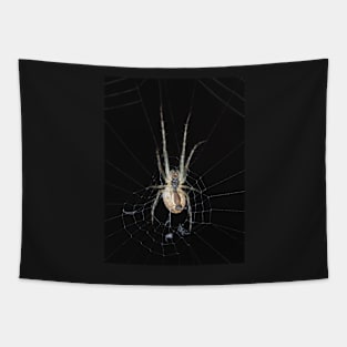 Spider identified as Araneus diadematus Tapestry