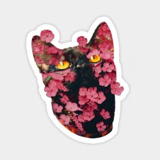 Black Cat with Amber Eyes Magnet