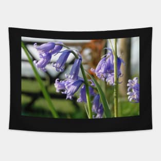 English Bluebells Tapestry