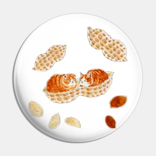 Peanut Kittens Pin