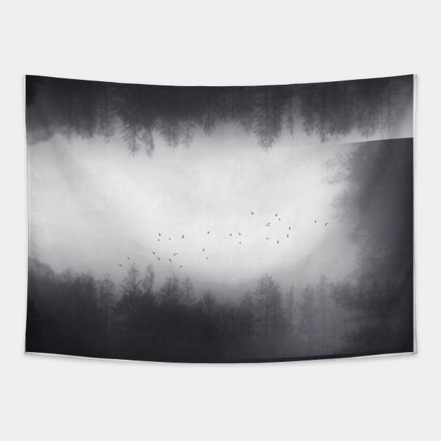 Black Box - Reflected Moody Landscape Tapestry by DyrkWyst