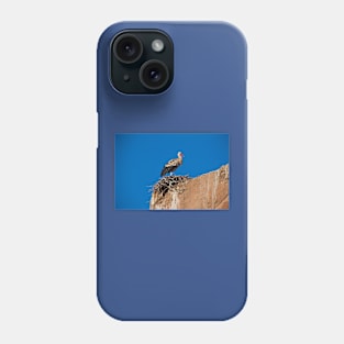 Morocco. Marrakech. Stork on the old wall of Medina. Phone Case