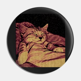 lil kitty sleeping Pin