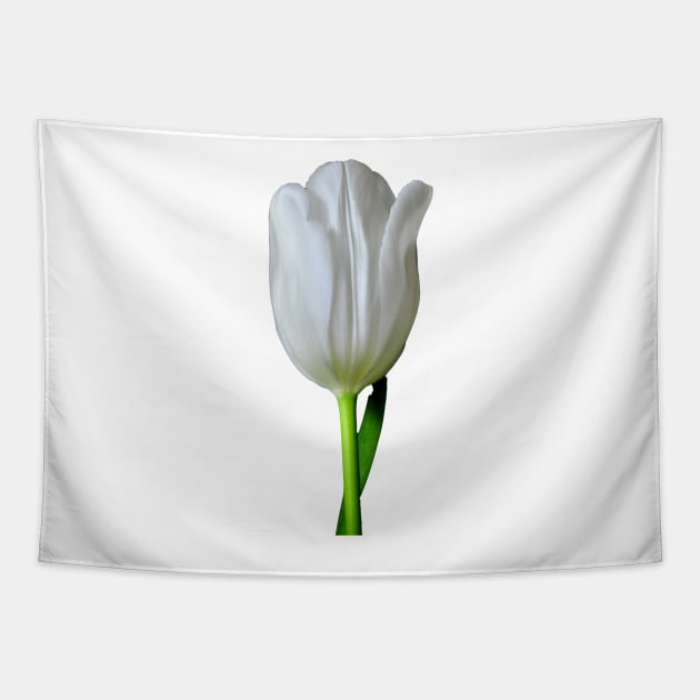 The White Tulip Tapestry by MolinArte