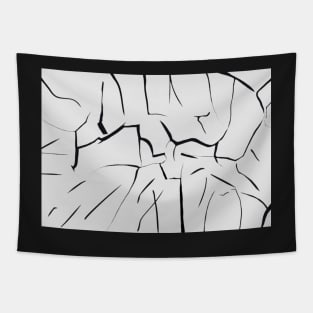 Cracked Glass Tapestry