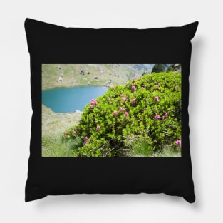 Rhododendron Pillow