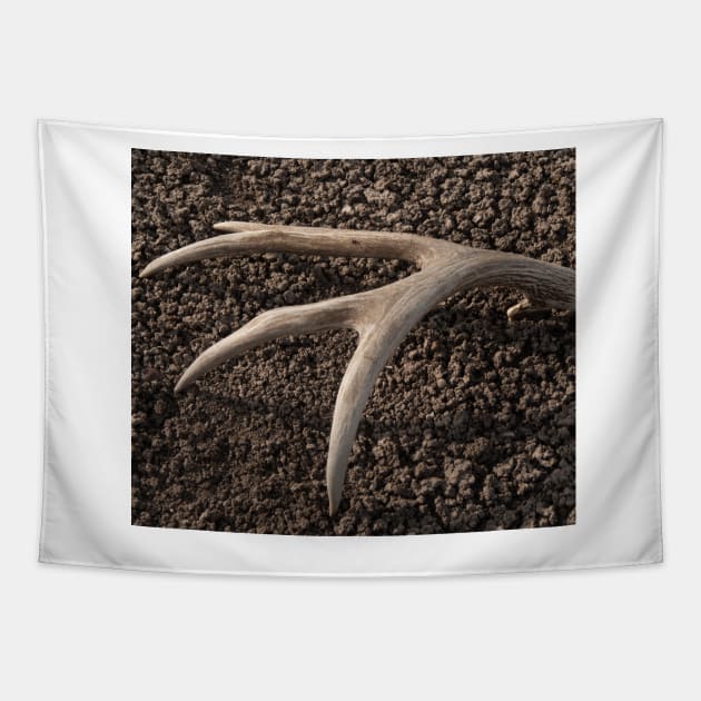 Lonley Antler Tapestry by StevenElliot