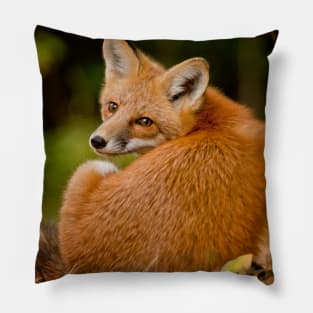 Red Fox Pillow