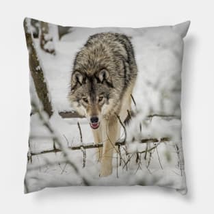 Timber Wolf Pillow