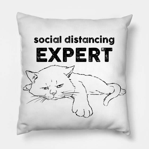 Funny Social Distancing Cat, Quarantine Cat, Antisocial Pillow by sockdogs