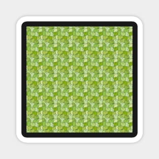 Green Apple Seamless Pattern Magnet