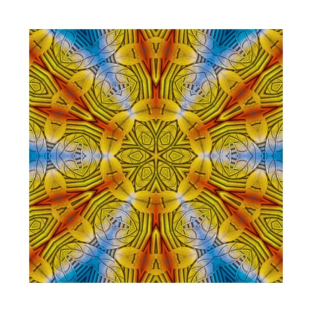 radial inspired by nature rainbow coloured square composition design by mister-john