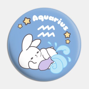 Aquarius Loppi Tokki Bunny Zodiac Series Pin