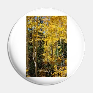 Changing Seasons Pin