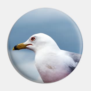 An Up-close Photo Of A Gull Pin