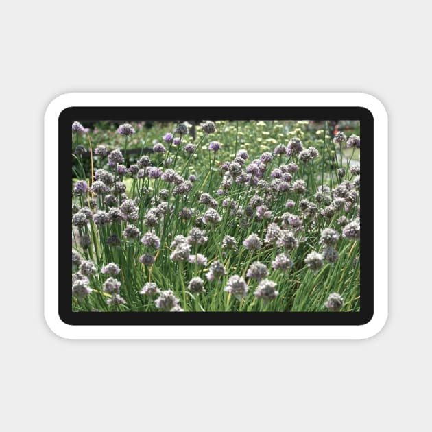 wildflowers Magnet by wildmagnolia