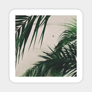 Tropical Green Plant Magnet