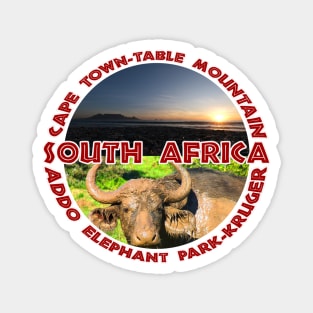 South African Places and photos Magnet