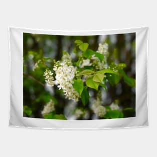 Spring Tree Blossoms Tapestry