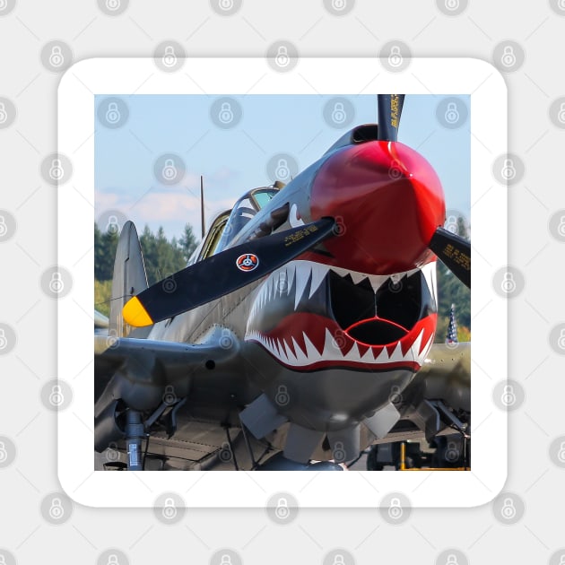 P-40E Shark-Mouth close-up Magnet by acefox1