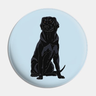 Black labrador retriever Pin