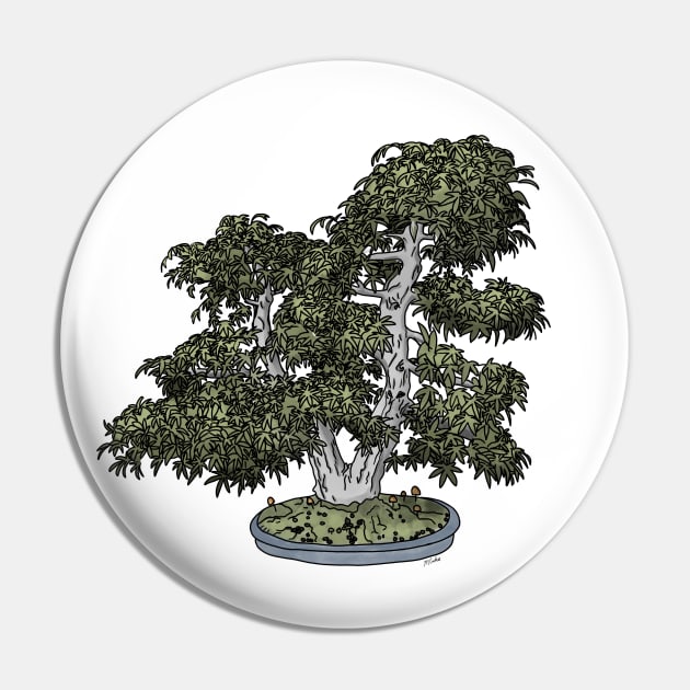 Smooth Japanese Maple Bonsai Pin by Quick Brown Fox Canada 