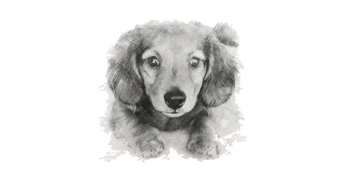 Download cute dog drawing sketch - Cute Dogs Illustration - T-Shirt ...