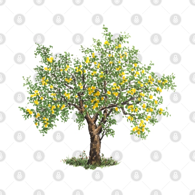 November birthday lemon tree by birthflower