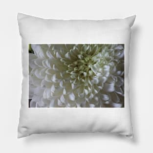 Classic Chrysanthemum Pillow