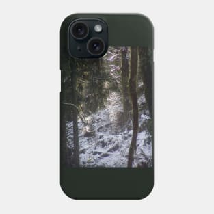 Forest Sun Rays in the Snow #24 Phone Case