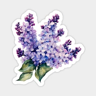 lilac bush Magnet