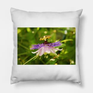 Purple Haze Passiflora Pillow