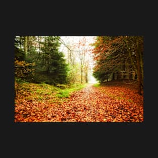 Leafy woodland path T-Shirt