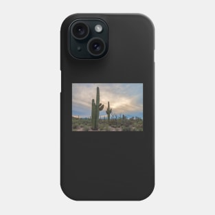 Saguaro Burst Phone Case