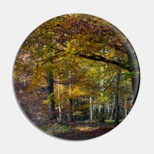 Autumnal Woodland Pin