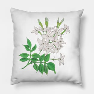 Jasmin Pillow