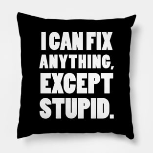 I can fix anything, except stupid. Pillow