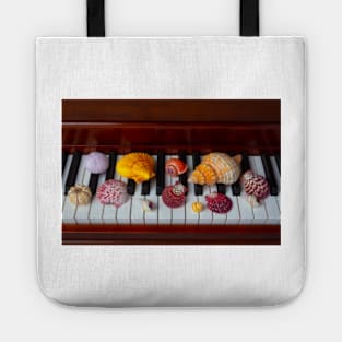 Piano Seashell Collection Tote