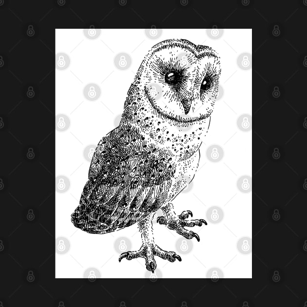 Owl drawing by NatureDrawing