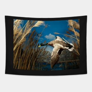 Natural environment diorama - a mallard  flying in the sky Tapestry