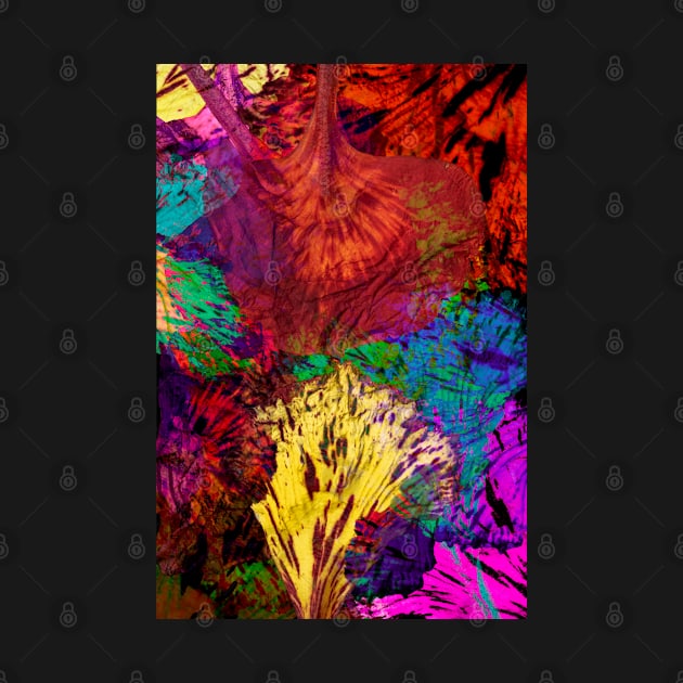 colorful abstract flower petal acacia by ICONZ80