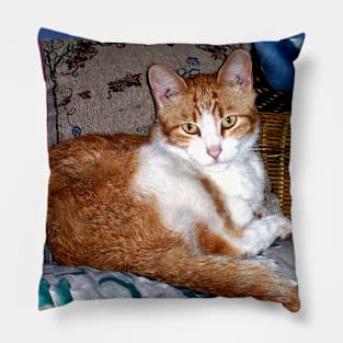 Morris Cat Pillow