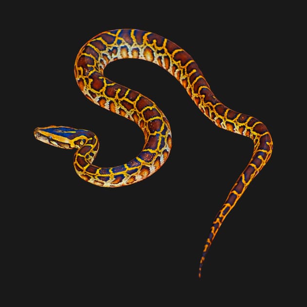 Python Snake by Tpixx