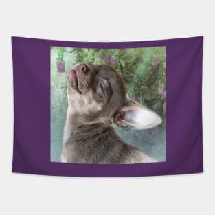 Cute Cheeky Chihuahua funny face. Flowers art design Tapestry