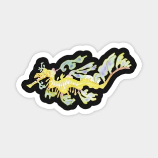 Leafy Sea Dragon 2 Magnet