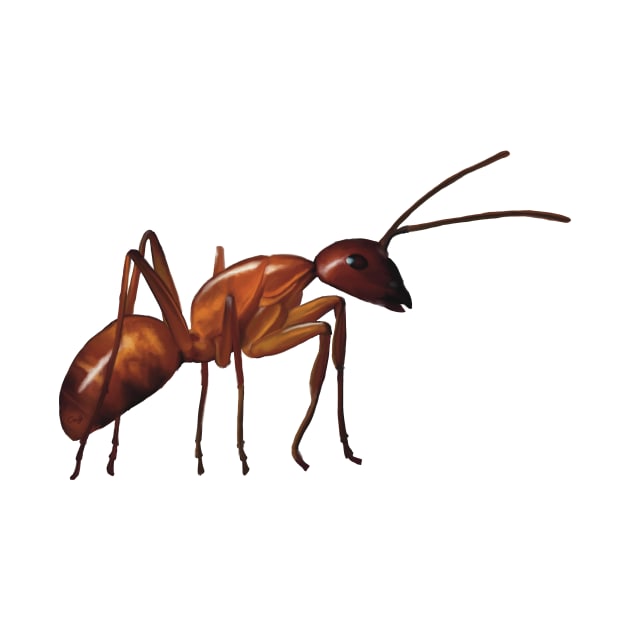 The humble brown ant. Adorable hardworking insect. Realistically illustrated, will make a very unique gift by PlumpPlumStudio